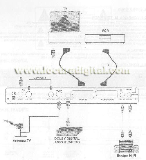 RT-162 RECEPTOR TDT PIP