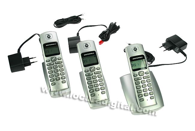 MOTOROLA D
