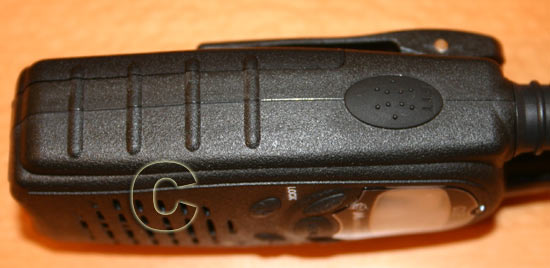  MIDLANDG12