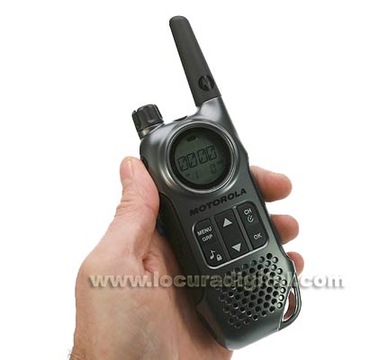 MOTOROLA TLKR T8