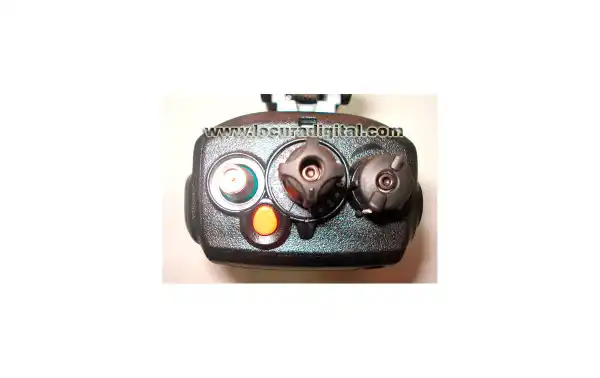 VX824E